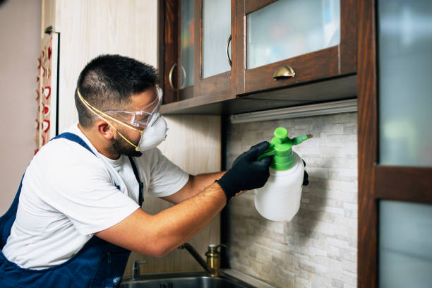 Best Residential Pest Control  in Basehor, KS