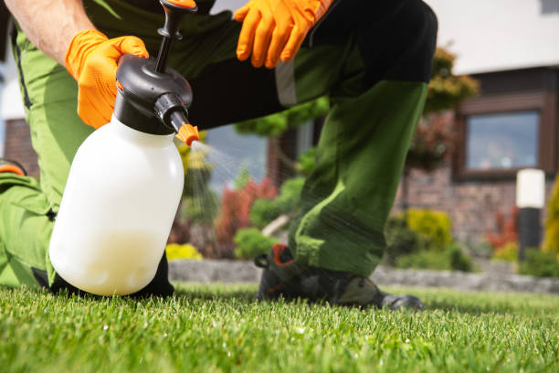 Best Cockroach Control Services  in Basehor, KS