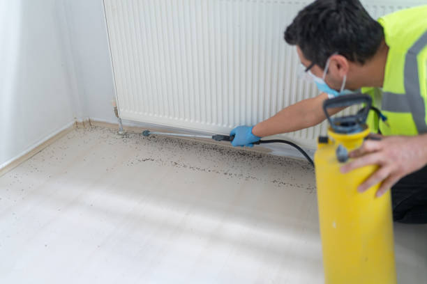 Best Affordable Pest Control Services  in Basehor, KS